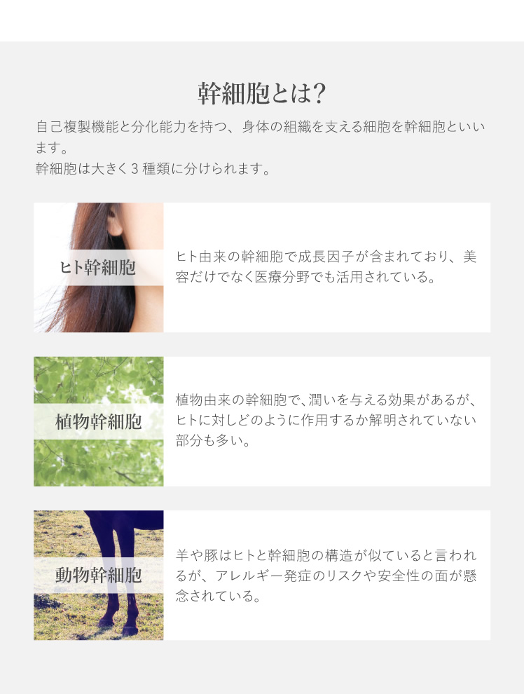 幹細胞とは？ 自己複製機能と分化能力を持つ、身体の組織を支える細胞を幹細胞といいます。 幹細胞は大きく3種類に分けられます。 ヒト幹細胞 ヒト由来の幹細胞で成長因子が含まれており、美容だけでなく医療分野でも活用されている。 植物幹細胞 植物由来の幹細胞で、潤いを与える効果があるが、ヒトに対しどのように作用するか解明されていない部分も多い。 動物幹細胞 羊や豚はヒトと幹細胞の構造が似ていると言われるが、アレルギー発症のリスクや安全性の面が懸念されている。